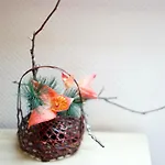 B&B Den Japanske Have 헤르닝