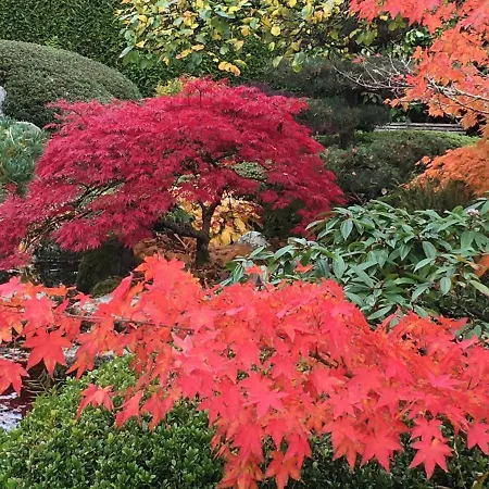 Den Japanske Have 3* Herning