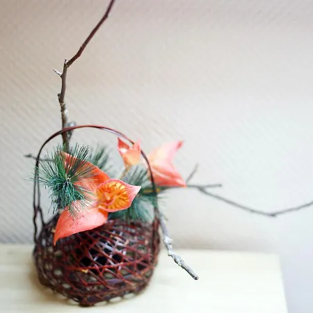 Bed & Breakfast Den Japanske Have Herning