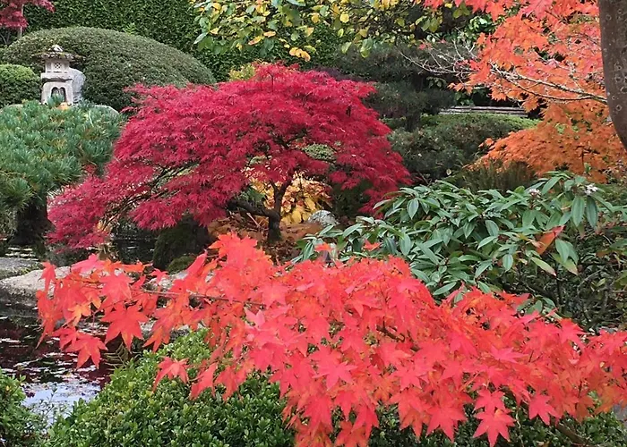 Den Japanske Have 3* Herning