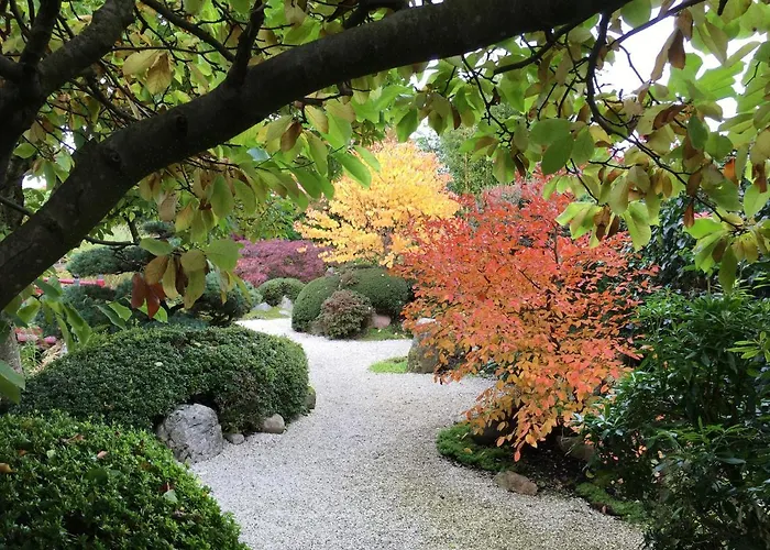 Bed & Breakfast Den Japanske Have