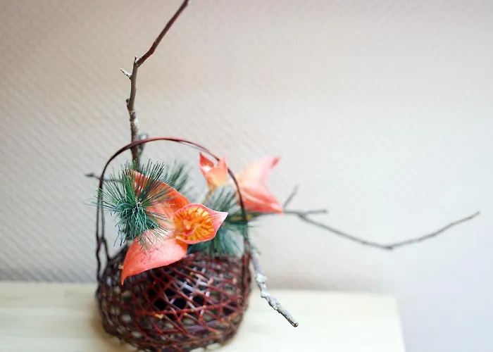 Bed & Breakfast Den Japanske Have Herning